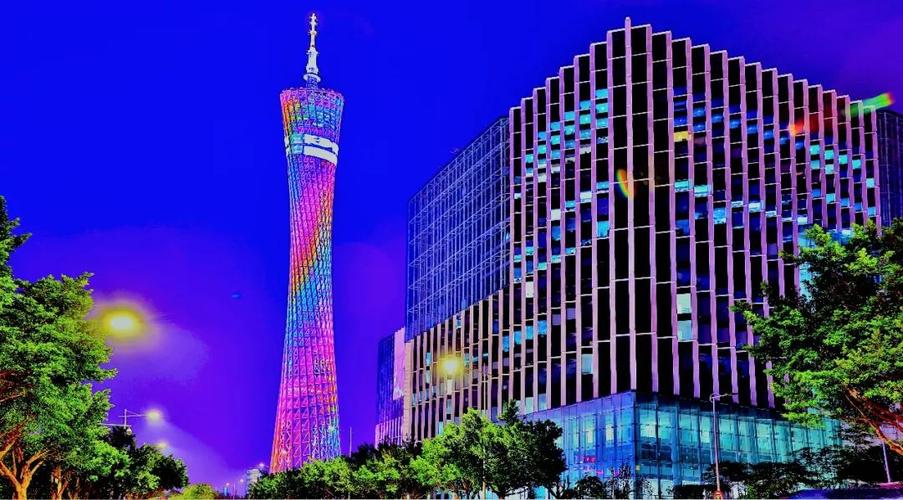 广州电视台回放在线观看截图2