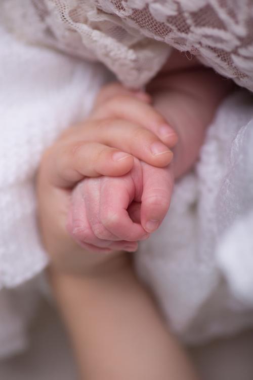 我的孩子生命之源破解