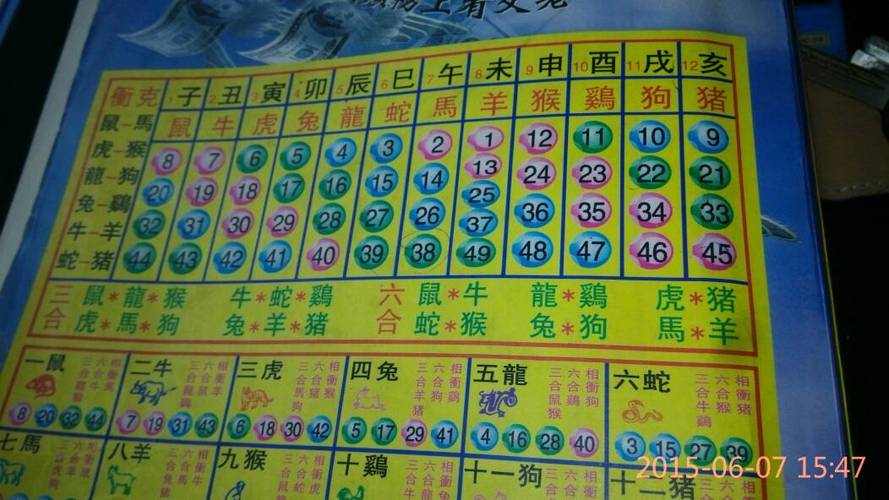 广州十二生肖彩票