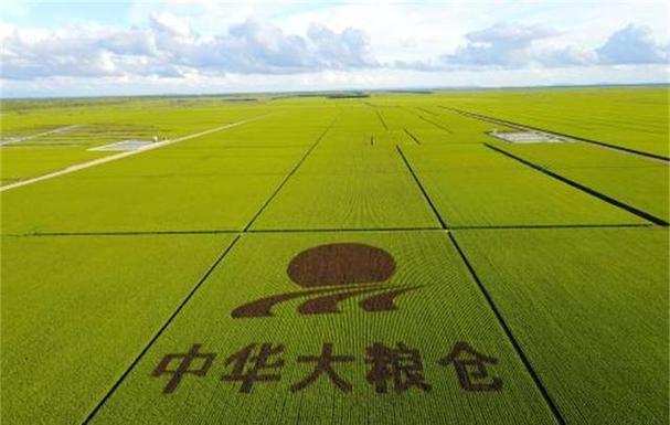北大仓是中国哪个省
