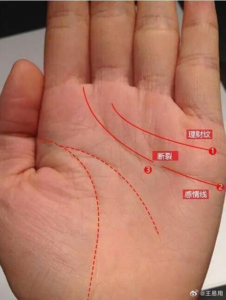 手掌三丘饱满各代表截图2