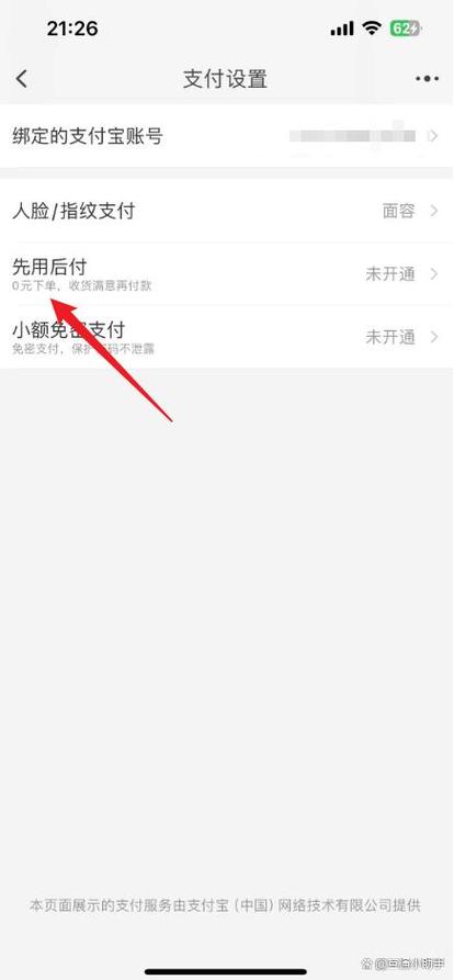 先用后付 淘宝