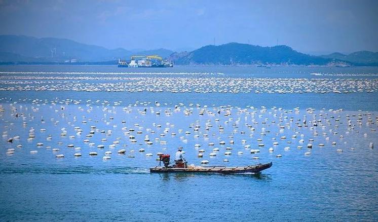 海岛,渔场,牧场海岛