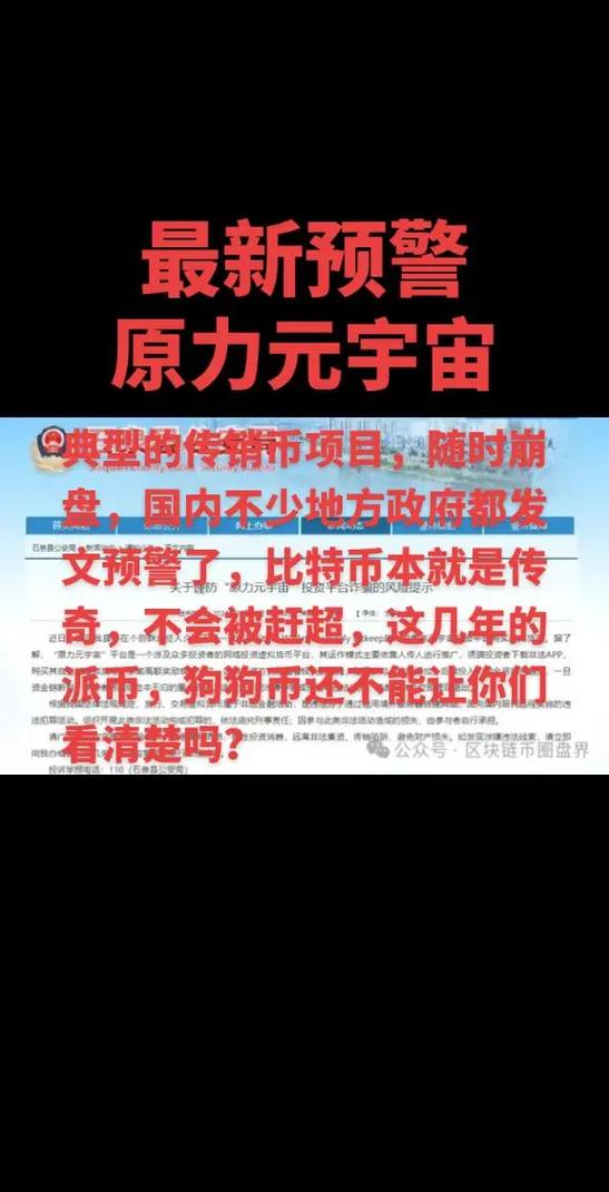 开资金盘的人下场