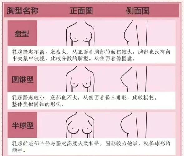 b罩杯一个手能掌握吗
