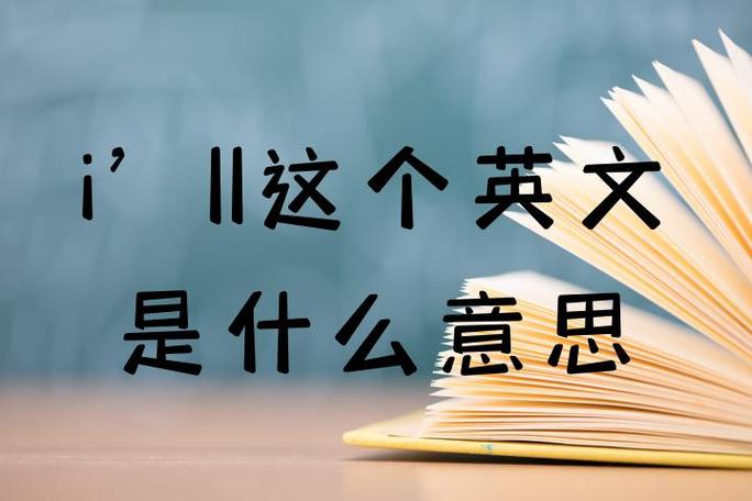 Bcell是什么意思