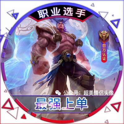 王者荣耀职业图片头像