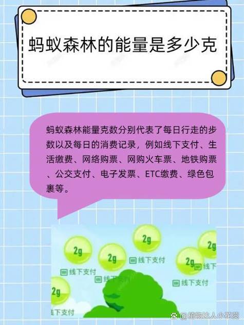蚂蚁森林偷能量多少