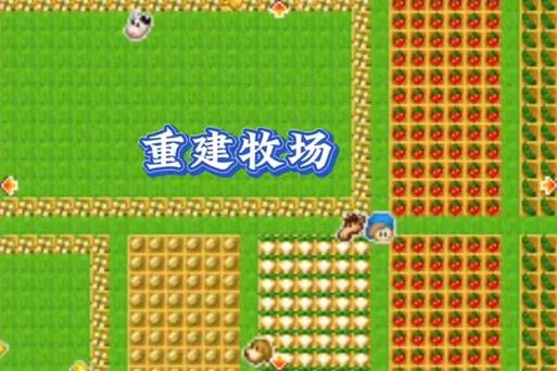 牧场物语矿石镇农田布局