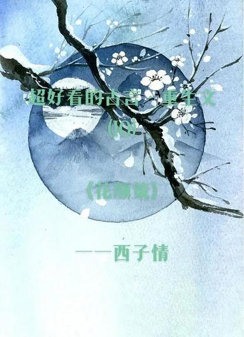 女主叫花颜的小说