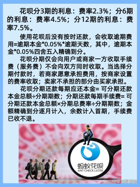 花呗会员费是多少