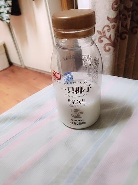 一只椰子阅读