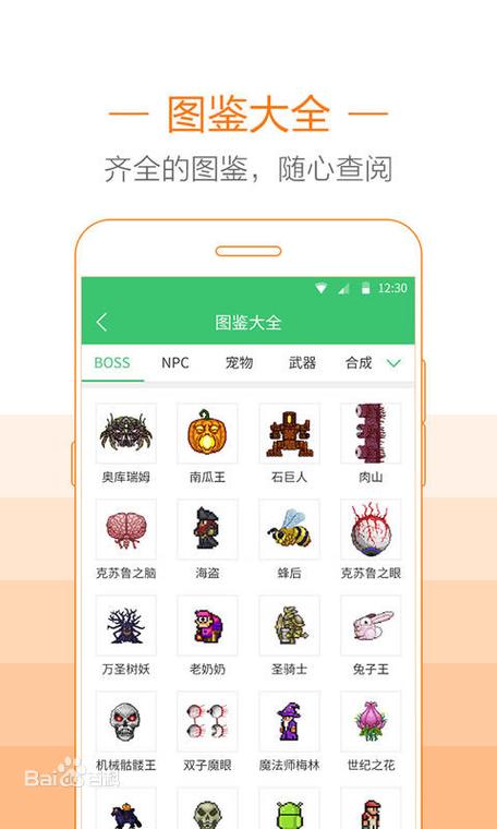 泰拉瑞亚建房