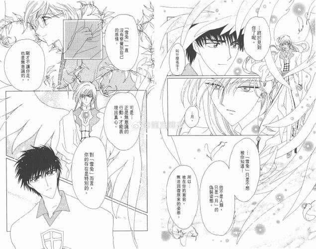 魔卡少女樱漫画桃矢与月的