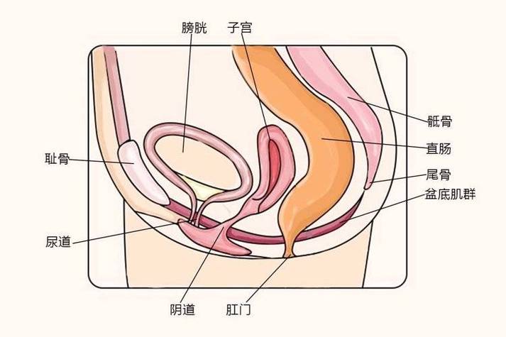 下面总是噗嗤响怎么回事