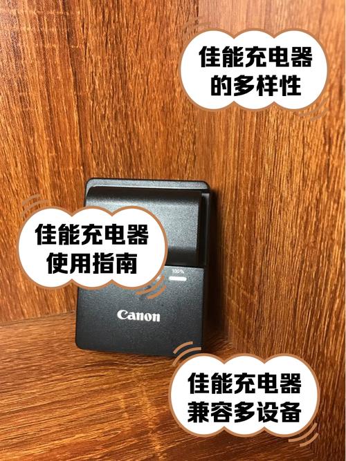佳能充电器红灯一直闪