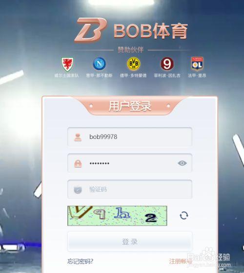 bob·体育综合app登录入口