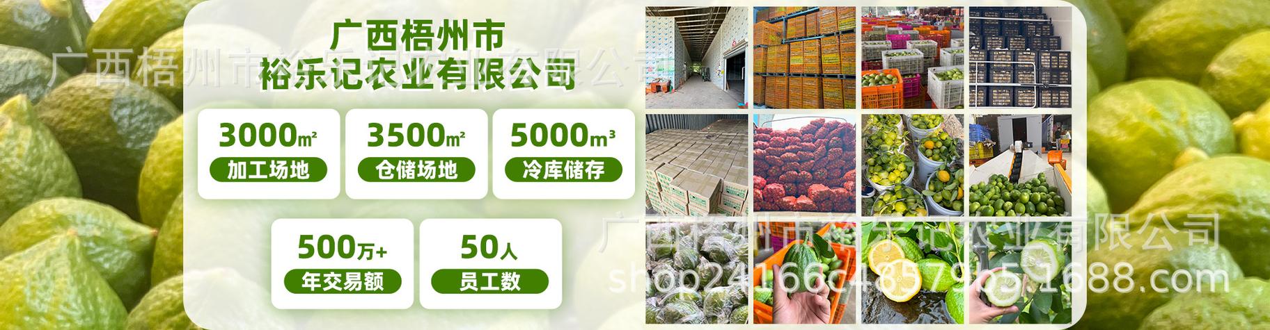 云南千禾农业服务有限公司