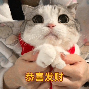 恭喜发财微信动态表情