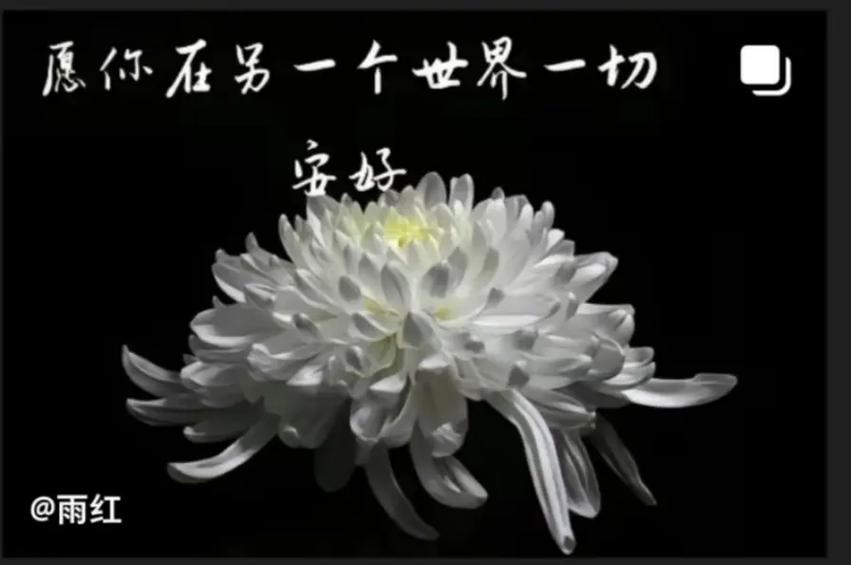 面对亲人即将离世感悟