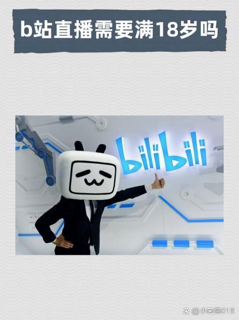 bilibili邮箱注册入口截图2