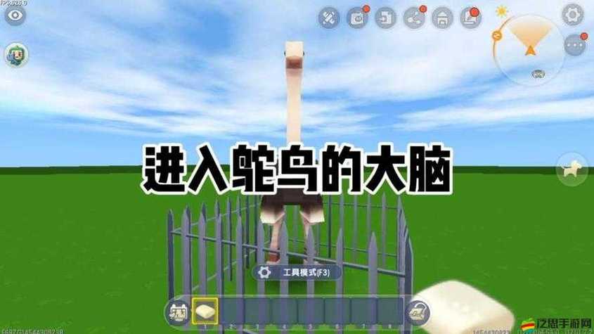 迷你世界鸵鸟驯服后吃什么食物图标