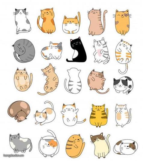 简单的猫怎么画截图2
