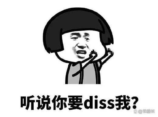你被diss了啥意思