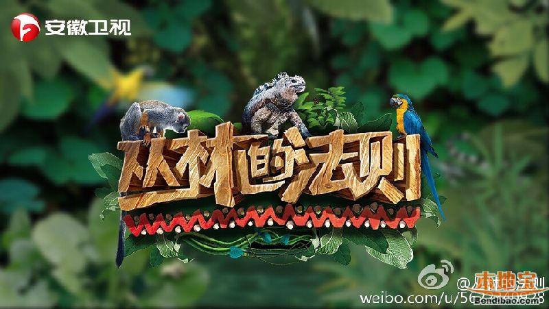 中国版丛林法则叫什么