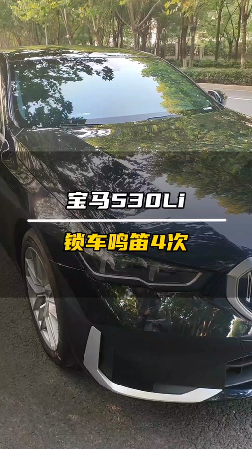 锁车鸣笛怎么加装截图3