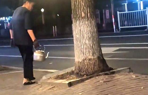 开水能浇死树吗