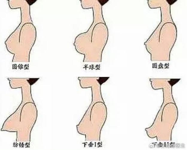 乳房形状几种图片大全
