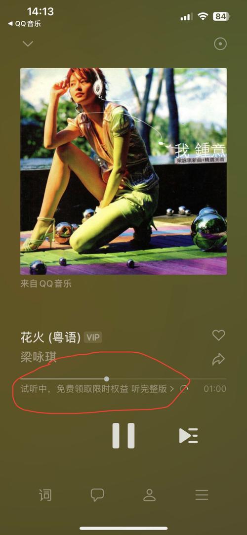 qq音乐房间可以一起vip歌曲