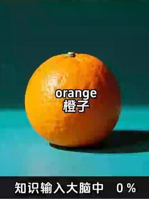 橙子英语orange
