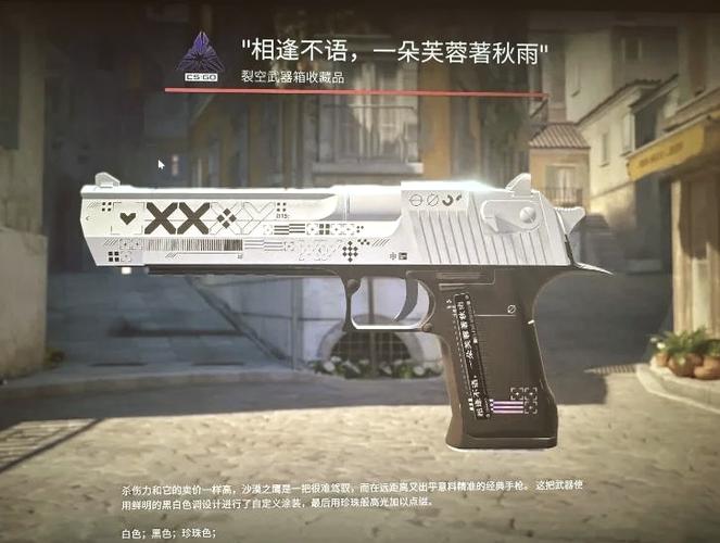 csgo中文名字