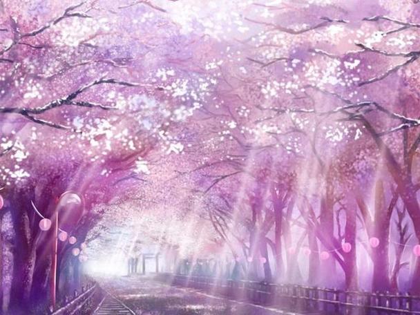 樱花雨图片动漫少女