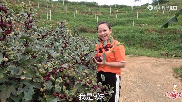 巧妇9妹更新的视频截图2