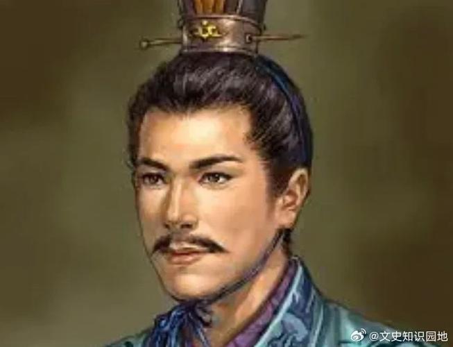 三国陈留王截图3