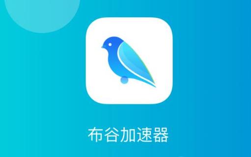 布谷加速器下载