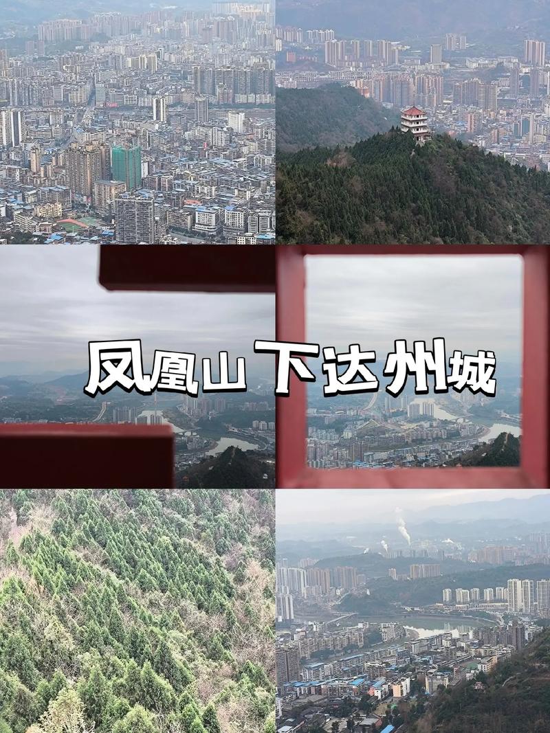 达州凤凰山下论坛网地址