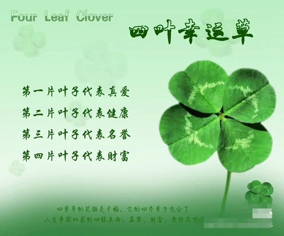 四叶草转发文章赚钱软件
