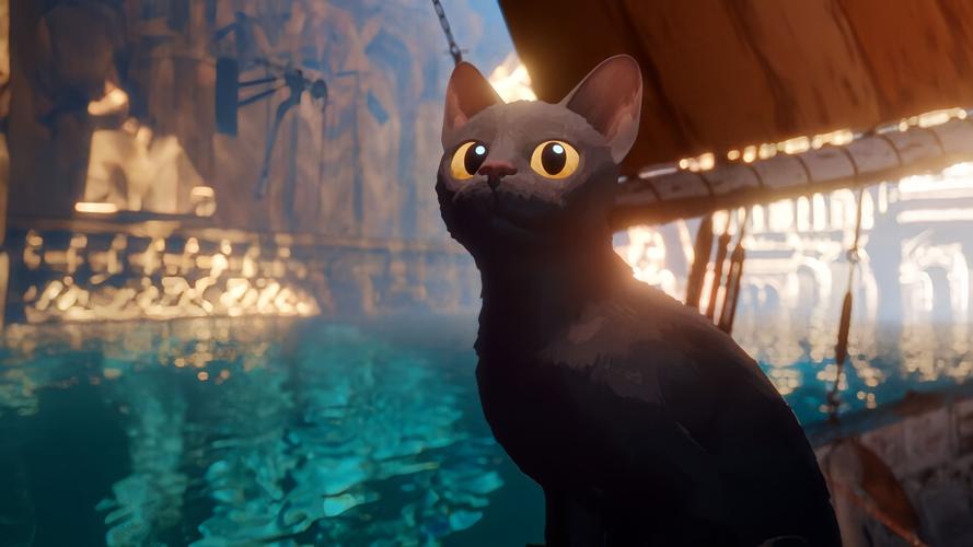 愚猫看书