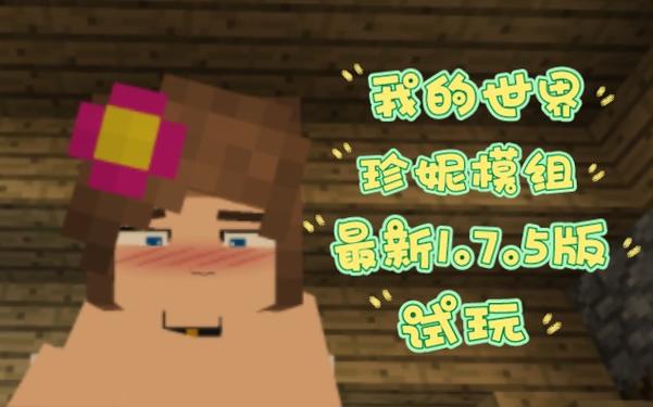 我的世界珍妮模组完整版无遮挡