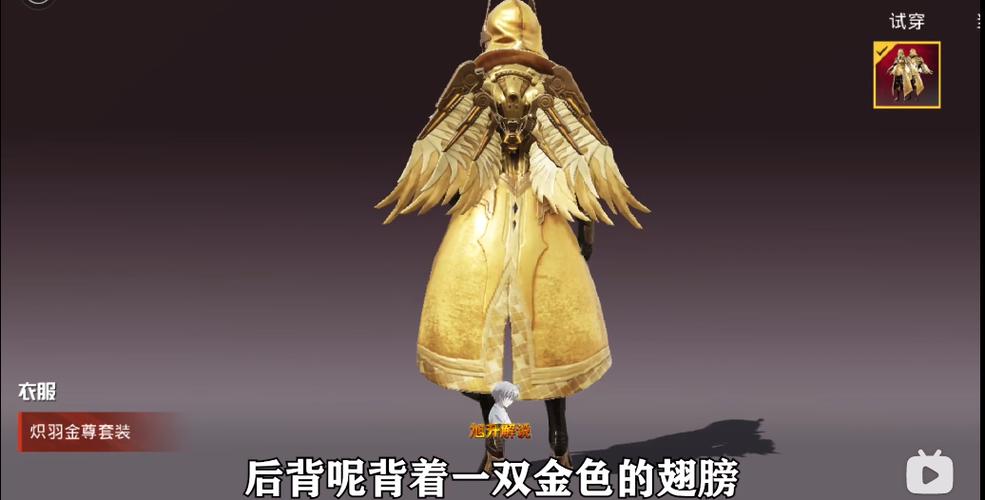 美化包和平精英炽羽金尊v1.66.00