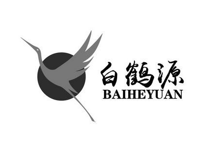 白鹤直装辅助图标