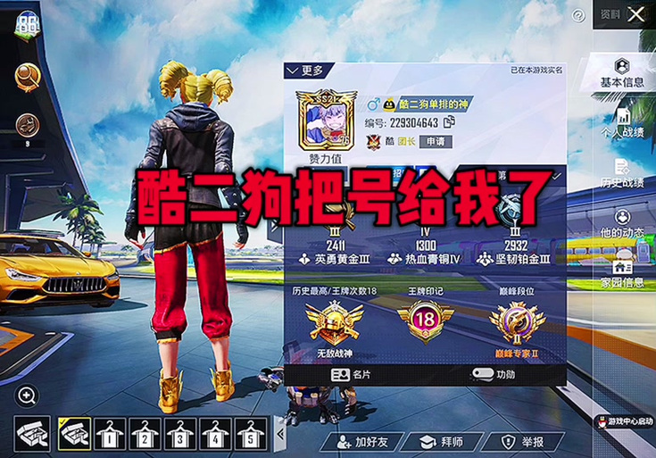 酷二狗美化包和平精英
