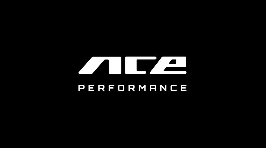 ace2 一加9r