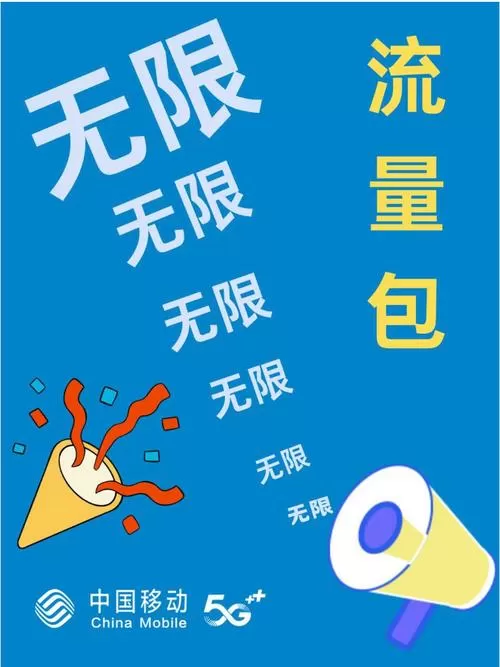 设置里的无限流量是什么意思