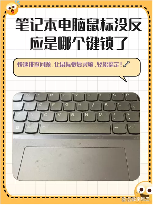 鼠标键盘无反应