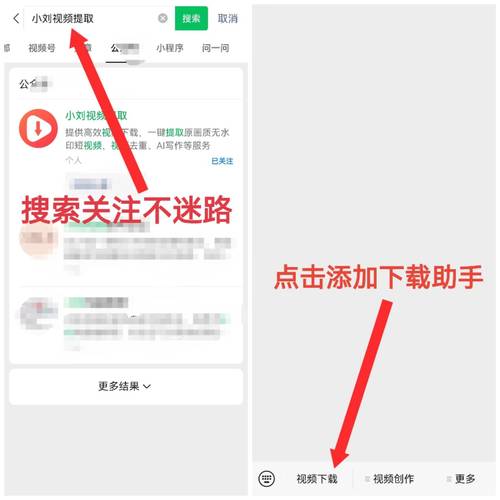 春雨直播免费视频直播免排队